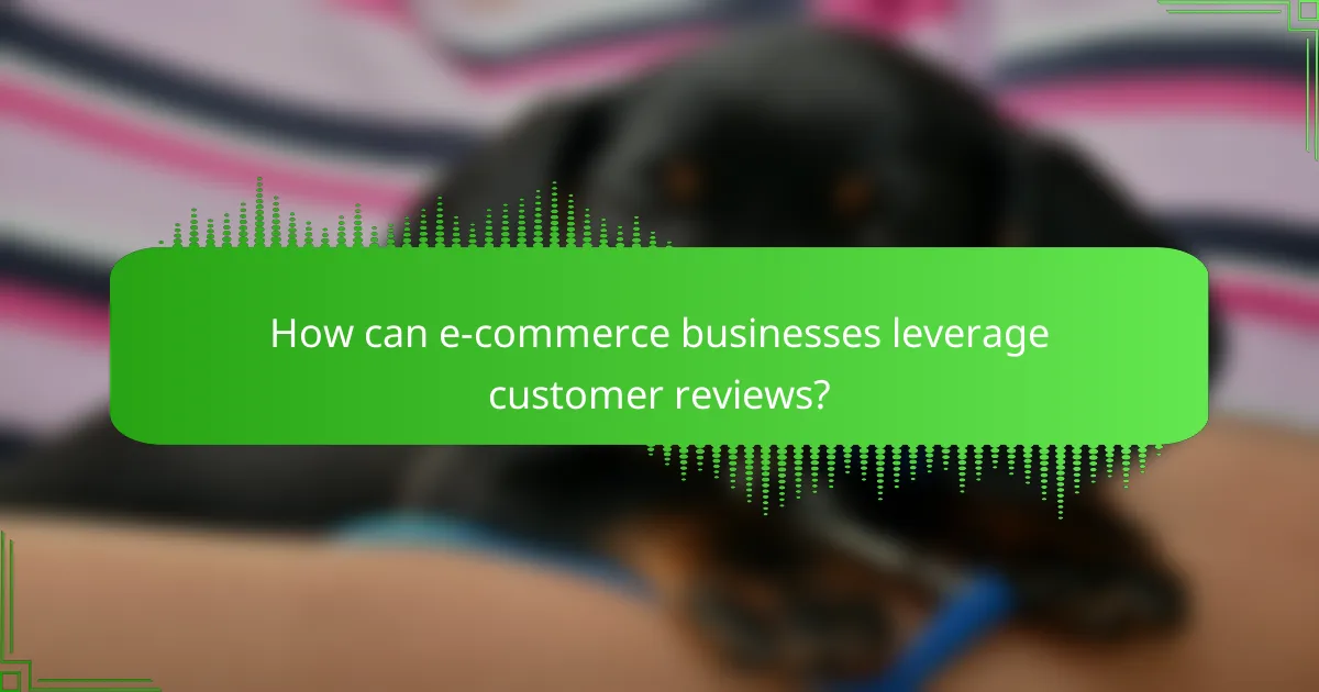 How can e-commerce businesses leverage customer reviews?